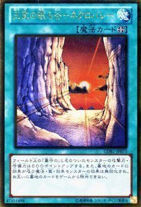 Amazon.co.jp: 遊戯王カード 【王家の眠る谷－ネクロバレー